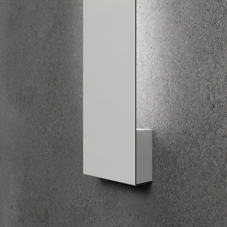 CASS 2X BIALA zblizenie.jpg