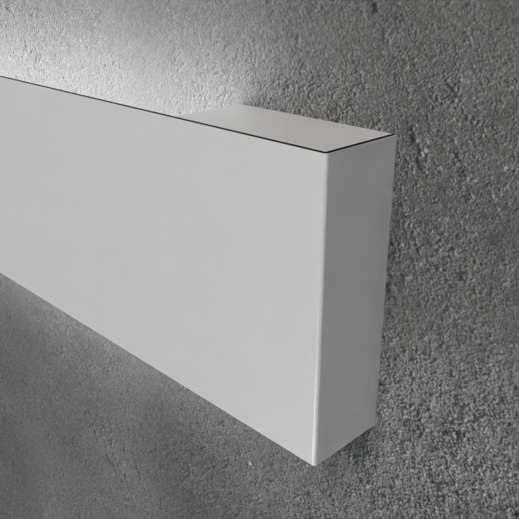 CASS 2X pozioma biala zblizenie.jpg