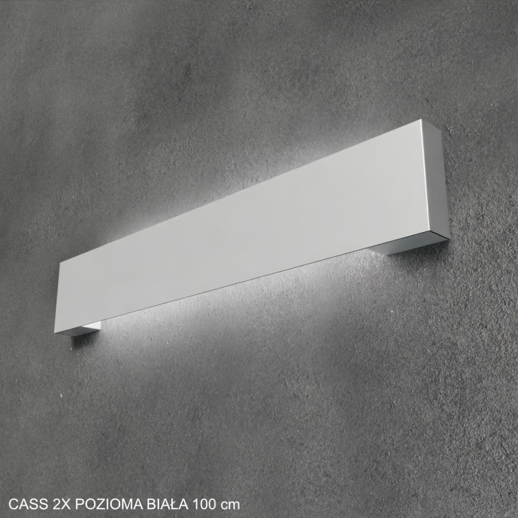 CASS 2X pozioma biala 100 cm od dolu.jpg