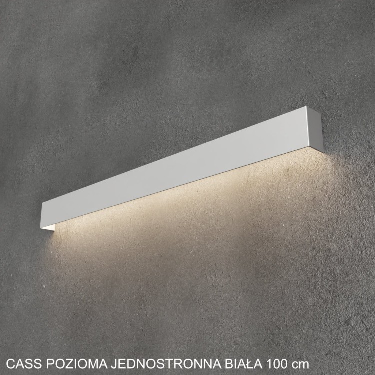 CASS poziom BIALA jednostronna 100 cm.jpg